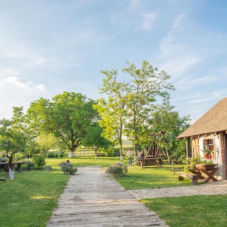 Apartment Tri Mudraca Karanac Ngoại thất bức ảnh